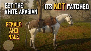 RDR2  How To Get The White Arabian Horse Male AND Female  Full Guide [upl. by Bohun]