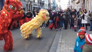 Chinese New Year Dragon Dance 2018 Antwerp [upl. by Ehtyaf]