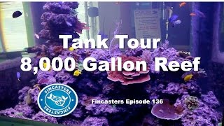 8000 Gallon Reef Tank Fincaster Episode 136 [upl. by Nadroj]