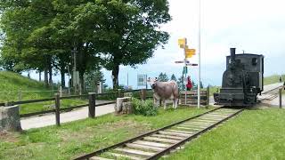 Rigi Scheidegg Bahn am 6 Juli 2024 in RigiFirst [upl. by Ober]