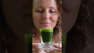 Amazing Benefits Of Spirulina [upl. by Jamaal]