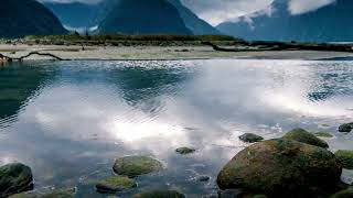 4K Fiordland National Park – New Zealands pristine wilderness home to fjords like Milford Sound [upl. by Jankey]