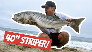 Catching the BIGGEST Fish of my Life 40quot Striped Bass on CA Surf [upl. by Alvin]