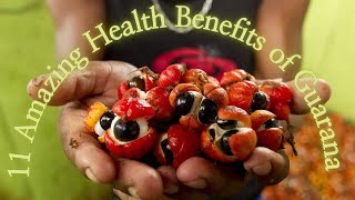 11 Amazing Health Benefits of Guarana [upl. by Leahcimnaes943]