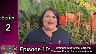 S2 E10 Freyas Tropical Garden Birmingham Botanical Gardens Yvonnes Plants Bananas and more [upl. by Gerger101]