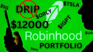 12000 Robinhood Portfolio Update  Why I Turned Off DRIP [upl. by Carolynne]