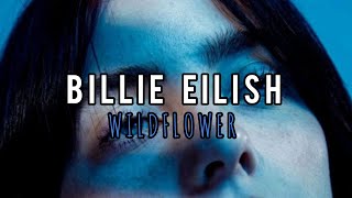 Billie Eilish  WILDFLOWER sub español [upl. by Atnahc]