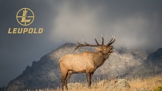 Elk Country Chronicles  The Sounds of Elk Country Volume 9 [upl. by Coryden]