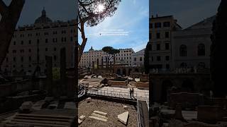 Exploring Romes Cultural Treasures Free Museum Sunday in Largo Argentina RomeItalyTravel Explore [upl. by Evin]