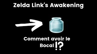 ZELDA LINKS AWAKENING ► Avoir le Bocal Soluce [upl. by Haidabo]