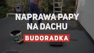 Naprawa i renowacja papy na dachu [upl. by Wynn]