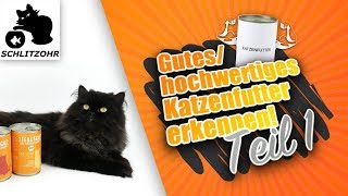 🔥Gutes Katzenfutter  hochwertiges Katzenfutter erkennen Deklaration amp Zusammensetzung verstehen [upl. by Malamud]