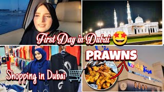 Dubai me Mere Pehle Din Ki Kahani anaya family vlogs [upl. by Carena]