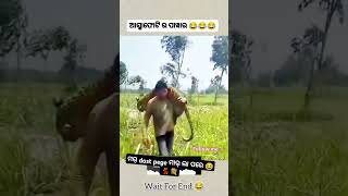 Mar dost pege mar la pare 😍🌿\ sambalpuri status video  sambalpuri song shortvideo dance [upl. by Arman]