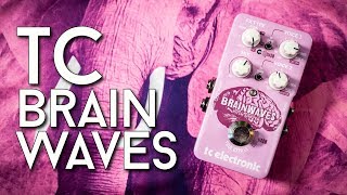 Twisted Stompy Pitches  TC Brainwaves Review [upl. by Ssew]