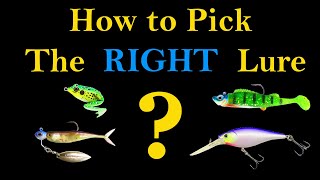 How to Pick the Right Fishing Lure Best Way to Catch a Fish [upl. by Corb]