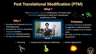 Post Translational Modification  PTM  Protein  Tamil  Biology  ThiNK VISION  tnkumaresan [upl. by Ahseila]