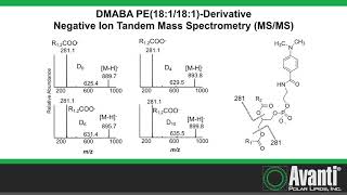 DMABA Derivatization Aminophospholipid [upl. by Brear]