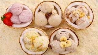 5 NEW Homemade Ice Cream Flavors  DairyFree Coconut Ice Cream Recipe No Machine [upl. by Edualc]