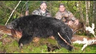 Laneys Guide Service Aaron Fenwicks 2012 Maine Bear Hunt w Hounds [upl. by Mccallion]