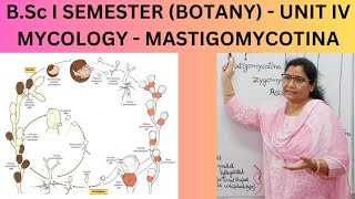 BSc I SEMESTER BOTANY  UNIT IV MYCOLOGY  MASTIGOMYCOTINA [upl. by Zerep]