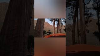 Algeria Camping Site🏕️CEDERBERGShort Video [upl. by Alemaj117]