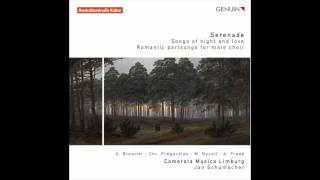 Serenade  Camerata Musica Limburg [upl. by Al]