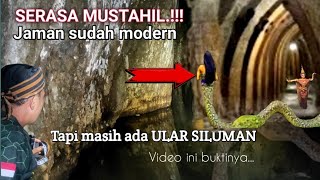 Dijaman modern ternyata masih ada siluman ular video ini buktinya [upl. by Kumler]