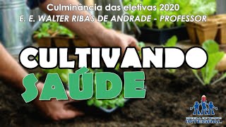 Culminância da Eletiva quotCultivando Saúdequot  Escola Walter Ribas de Andrade [upl. by Olyhs]