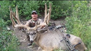 World Record Archery Mule Deer  Chad Kulow  MossBack [upl. by Leachim]