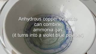 Copper sulphate dehydration and reaction with ammonia [upl. by Manoop]