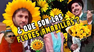 ¿Qué son las FLORES AMARILLAS de las que tanto habla la gente [upl. by Anirac]