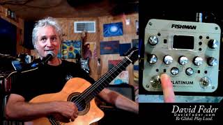 Fishman Pro EQ For Nylon String Guitar [upl. by Dworman538]