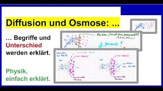 Diffusion und Osmose Begriffe und Unterschied werden erklärt [upl. by Kassab]