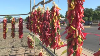 Chimayo Heirloom chile has deep roots [upl. by Hayidah]