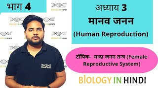 अध्याय 3 भाग 4 मानव जनन  Chapter 3 Human reproduction  Biology In Hindi for Board and NEET [upl. by Macnamara]