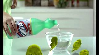 Clorox CleanUp  Bacteria [upl. by Amado850]