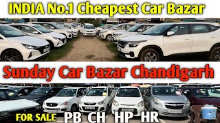 Punjab  Haryana  Himachal amp Chandigarh No Car For Sale  Sunday Car Bazar in Manimajra ✅🚗👆 [upl. by Alvira]