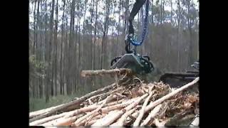 Mechanical acacia debarking harvester in Brazilia [upl. by Acila]