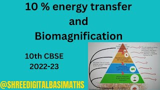 10  energy transfer amp Biomagnification 10th CBSE shreemaths22 [upl. by Wiebmer]