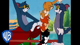 Tom amp Jerry in italiano  Classico Dei Cartoni Animati 103  WB Kids [upl. by Odracir]