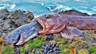 Amazing Day Rockfishing Doesnt Get Any Better [upl. by Joacima]