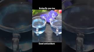 Butterfly Pea Flower Tea  Blue Tea  Color changing Tea [upl. by Soalokin536]