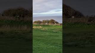 Hunstanton parkrun parkrun parkruntourism parkrunuk [upl. by Krasner]