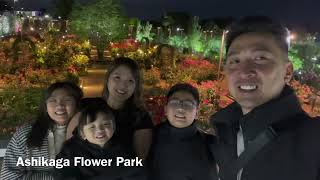 Ashikaga Flower Park  Japan 2024 [upl. by Balling]