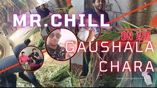 MRCHILL AND CHARA PROMOTION NAJAFGARH GAUSHALA NO4 [upl. by Nordine958]