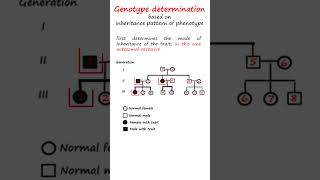 Determining an individuals genotype for a particular phenotype genetics biology science [upl. by Gnuj]