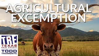 What Should I do if I Need an Agricultural Exemption  Texas Real Estate Radio Excerpt [upl. by Ynohtna532]