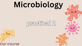 P1 micro bacteriological examination of vomitus and stool  GIT42 [upl. by Minny]