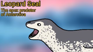 Leopard Seal The apex predator of Antarctica [upl. by Eldoria]